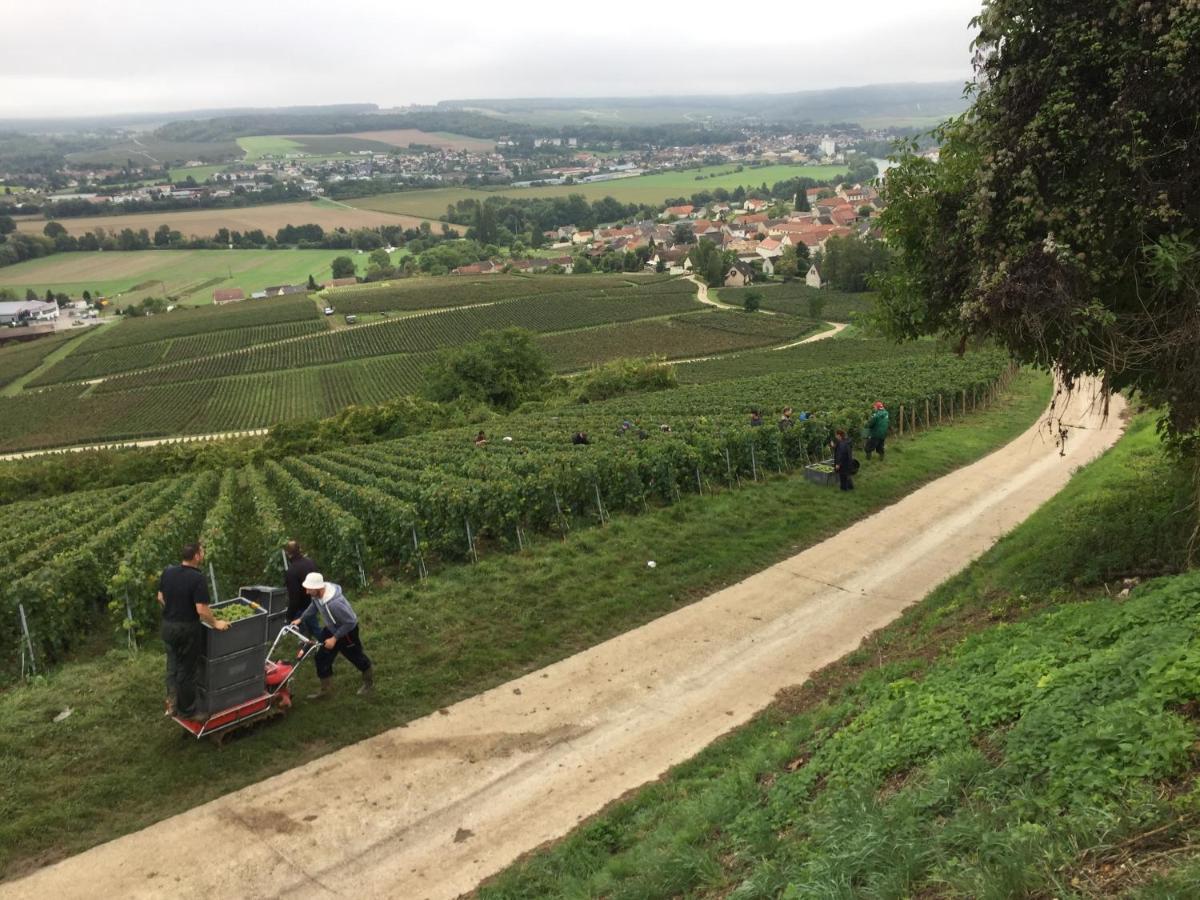Villa L'Insouciance En Champagne Vincelles  Zewnętrze zdjęcie