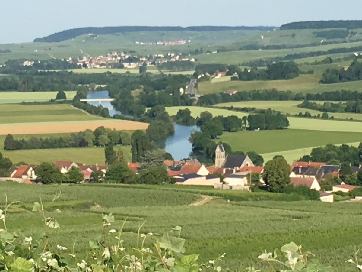 Villa L'Insouciance En Champagne Vincelles  Zewnętrze zdjęcie
